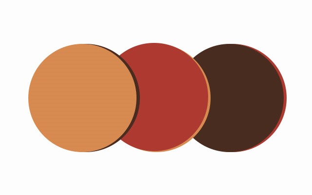 paleta de cores 2024