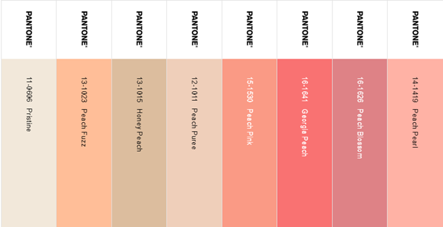 paleta de cores 2024